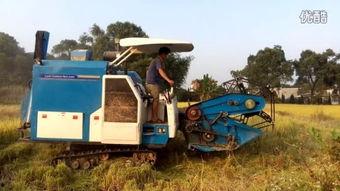 国产粉色收割机视频