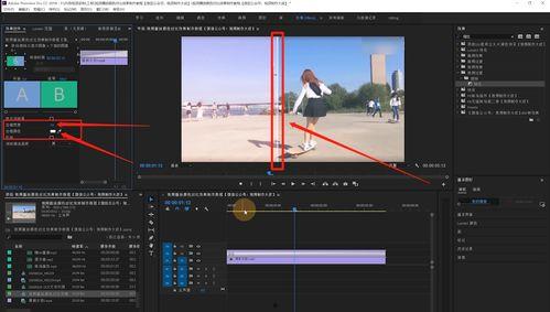 美产国产音色对比视频,揭秘音质差异背后的秘密