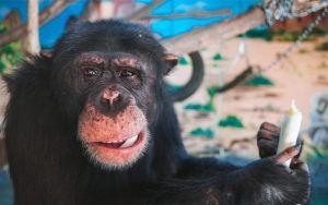 国产又黄又爽免费视频,揭秘“又黄又爽”免费视频背后的精彩故事