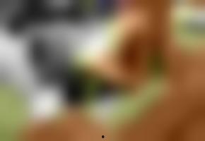 免费国产欧美视频网站,海量资源一网打尽