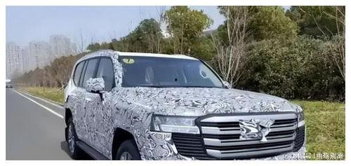 国产陆巡视频,硬核越野，彰显国货风采