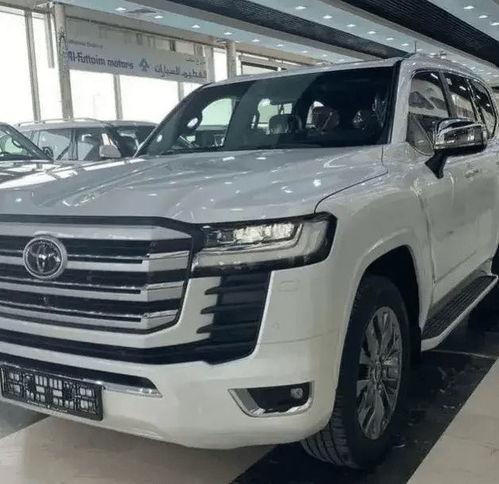 国产陆巡视频,硬核越野，彰显国货风采