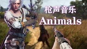 国产枪声大全视频,国产枪声大全视频深度解析