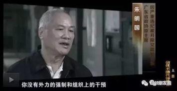 国产反腐大片视频,揭秘国产大片中的权力斗争与正义较量